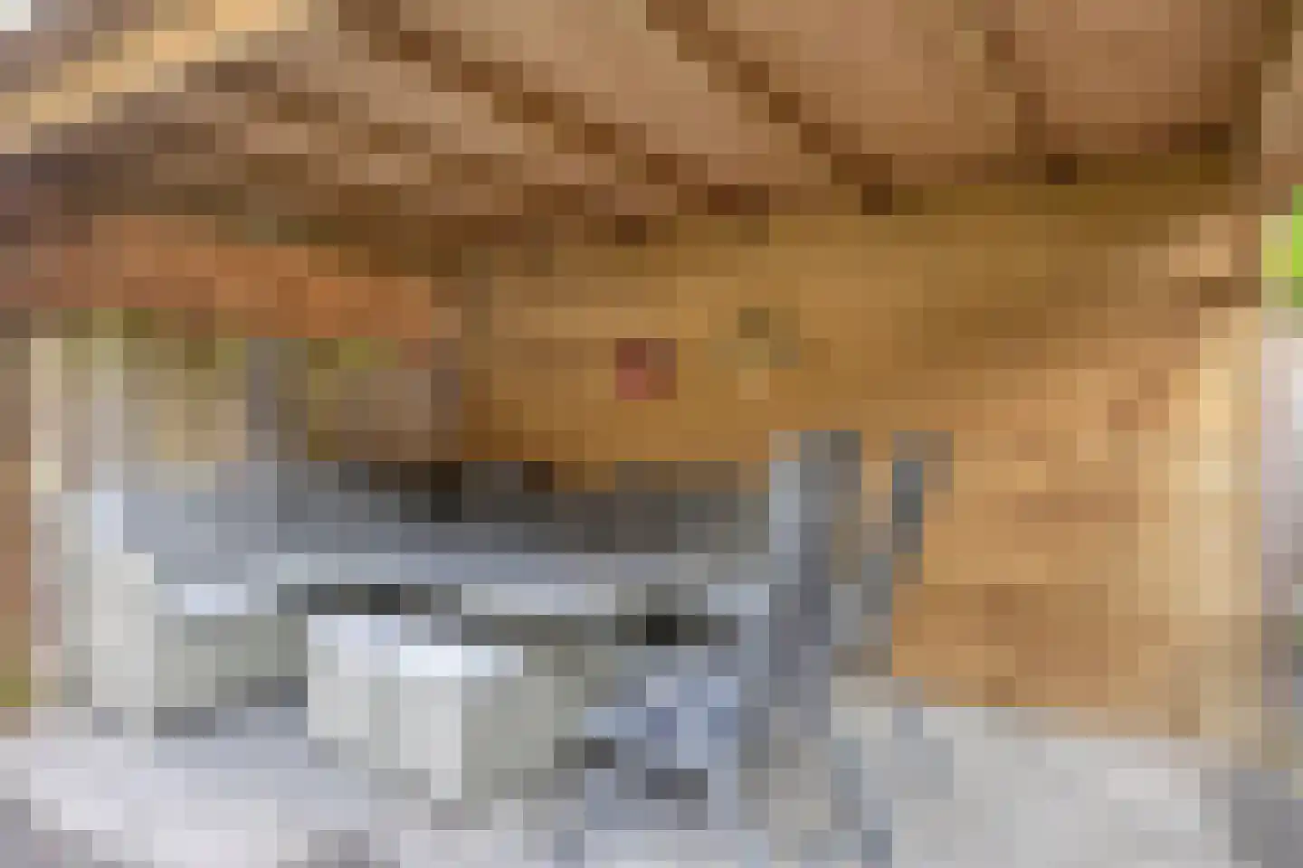 Stuifzand 6 Eerbeek thumbnail 26