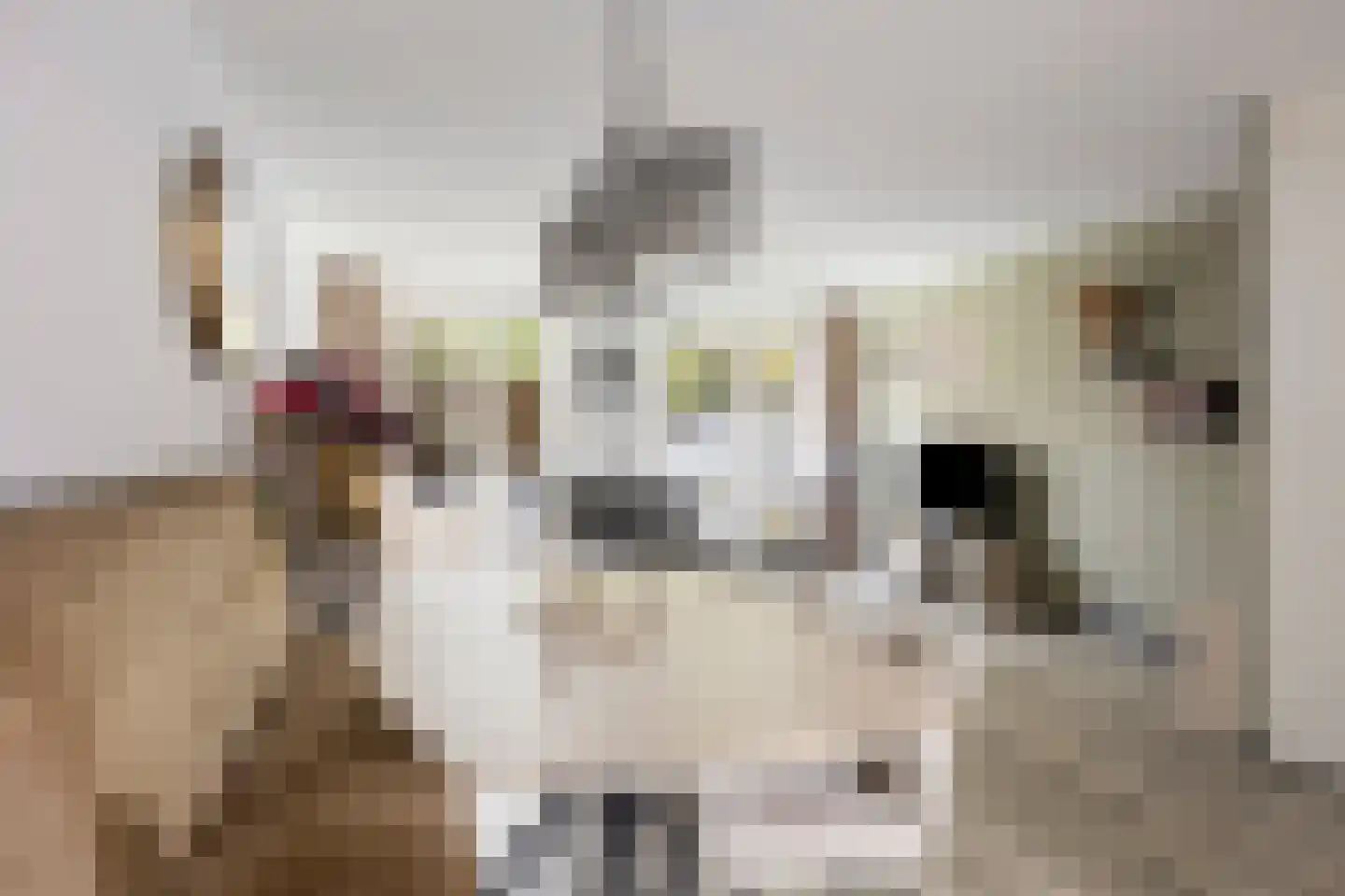 Stuifzand 6 Eerbeek thumbnail 9