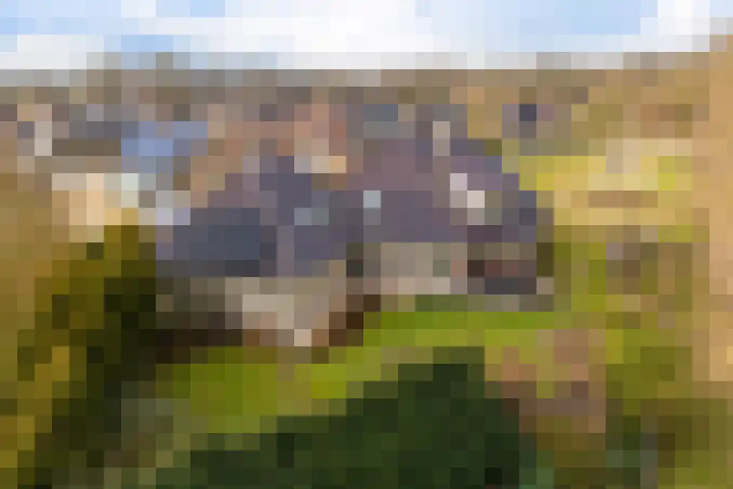 Stuifzandlaan 12 Zandpol