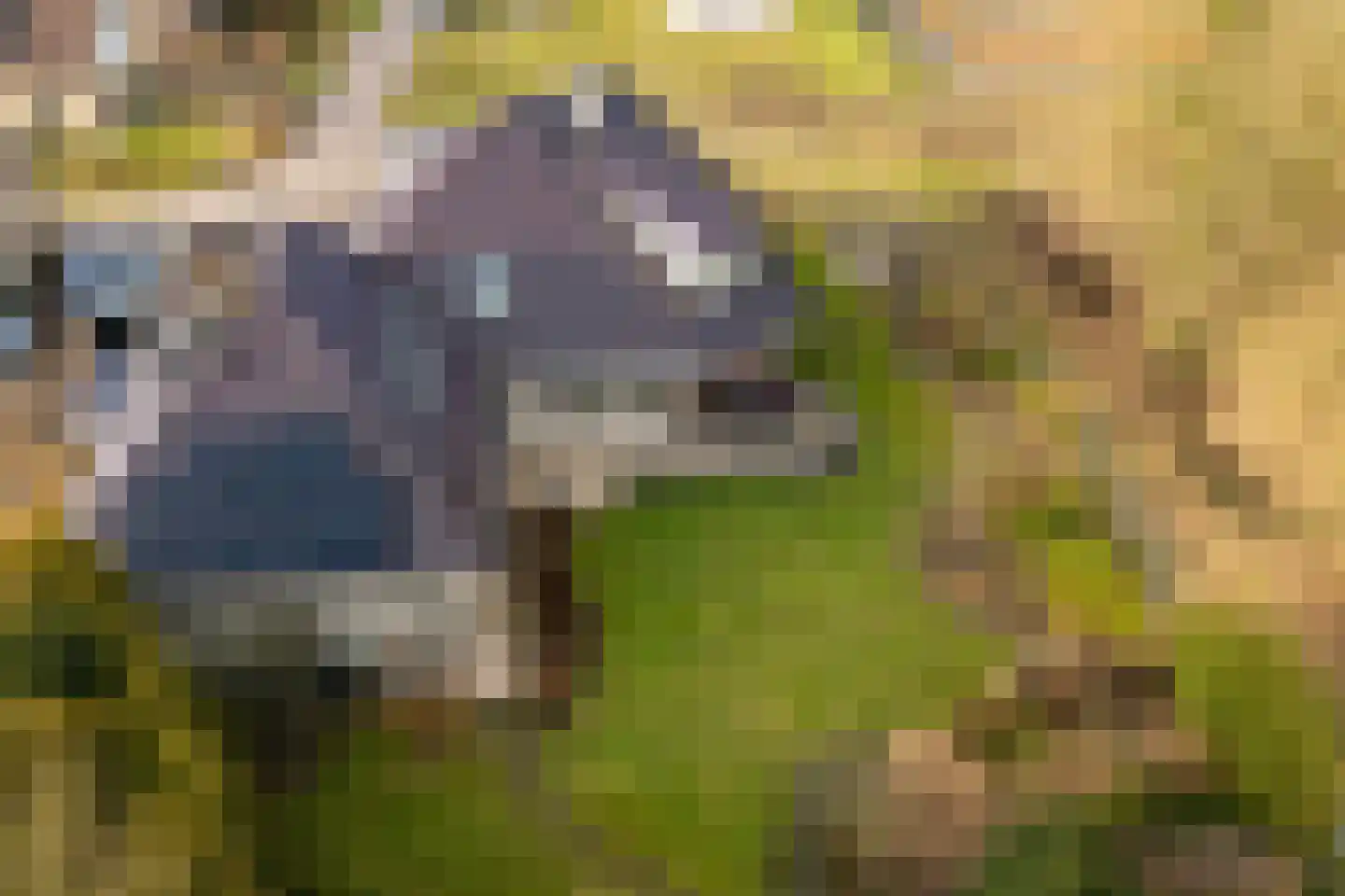 Stuifzandlaan 12 Zandpol thumbnail 56