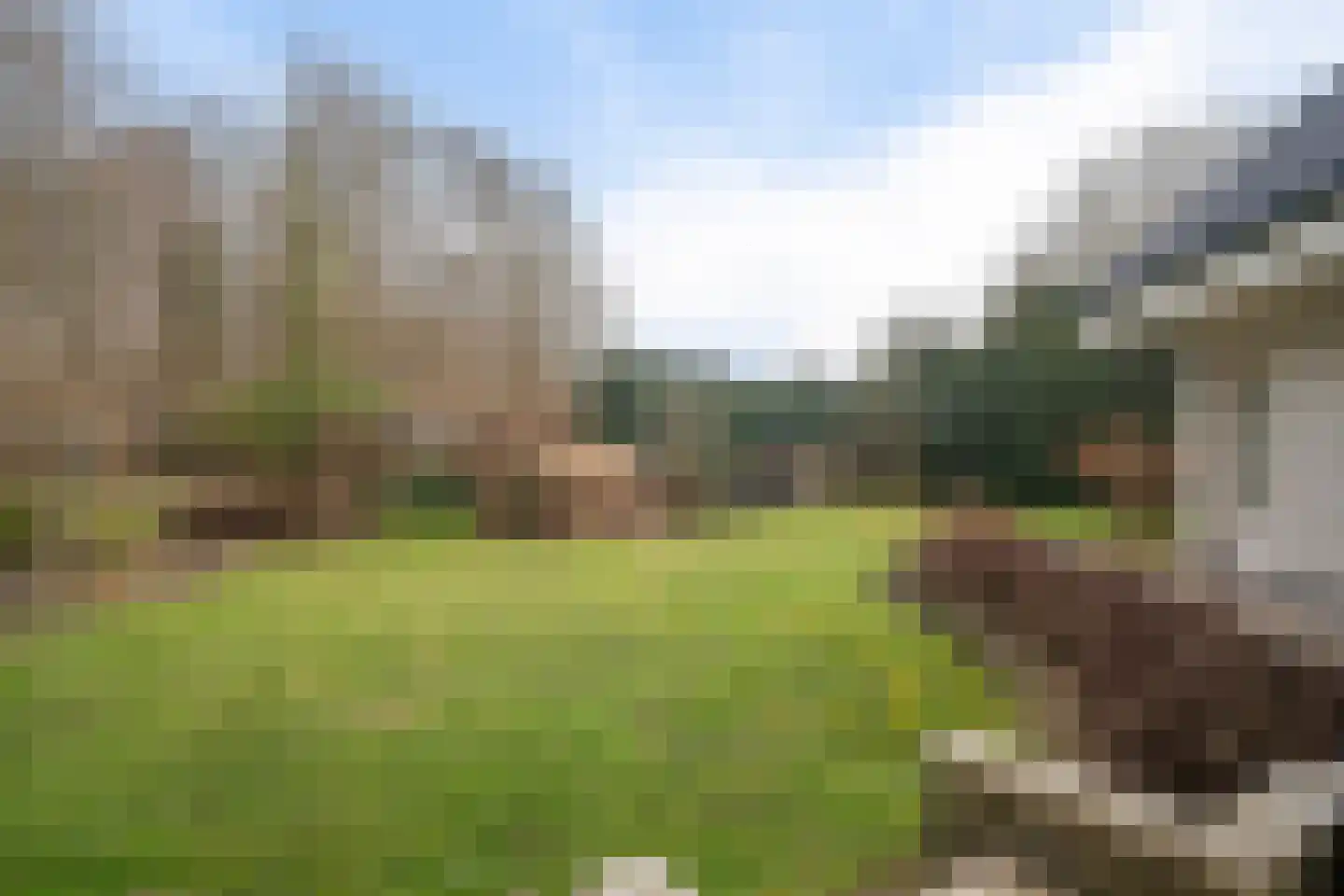 Stuifzandlaan 12 Zandpol thumbnail 59