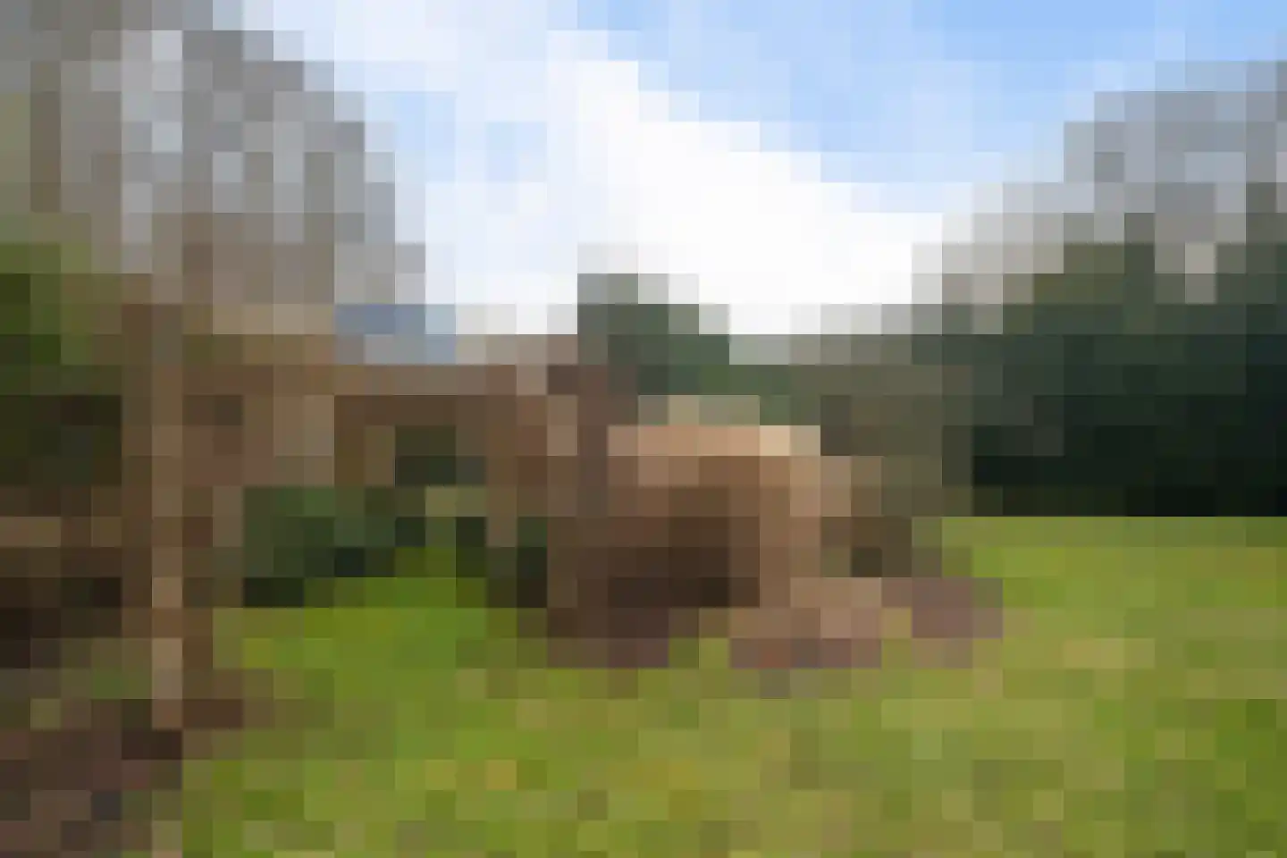 Stuifzandlaan 12 Zandpol thumbnail 60