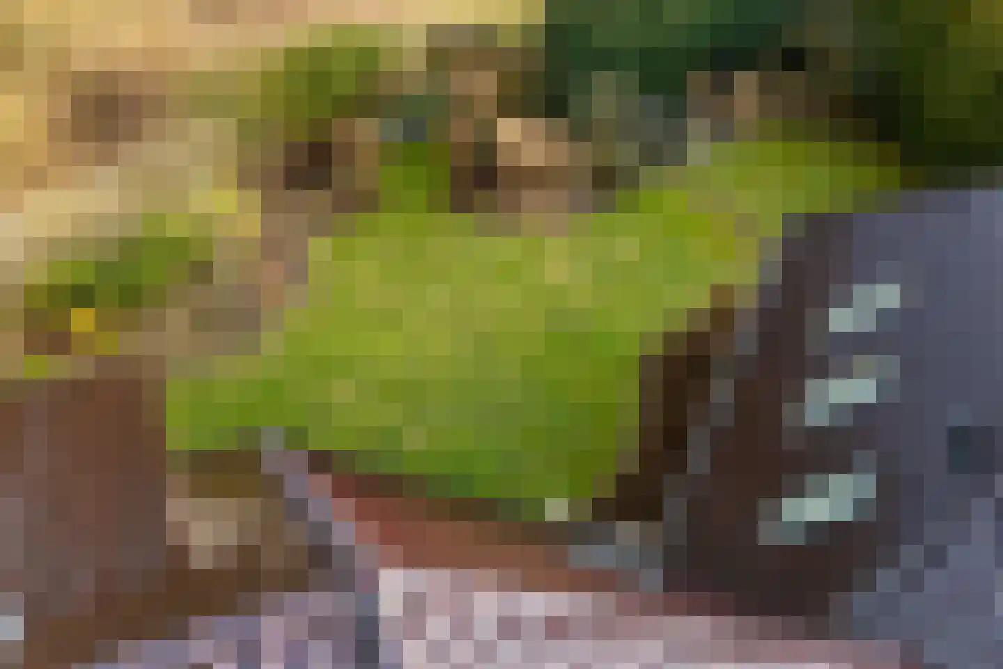 Stuifzandlaan 12 Zandpol thumbnail 64