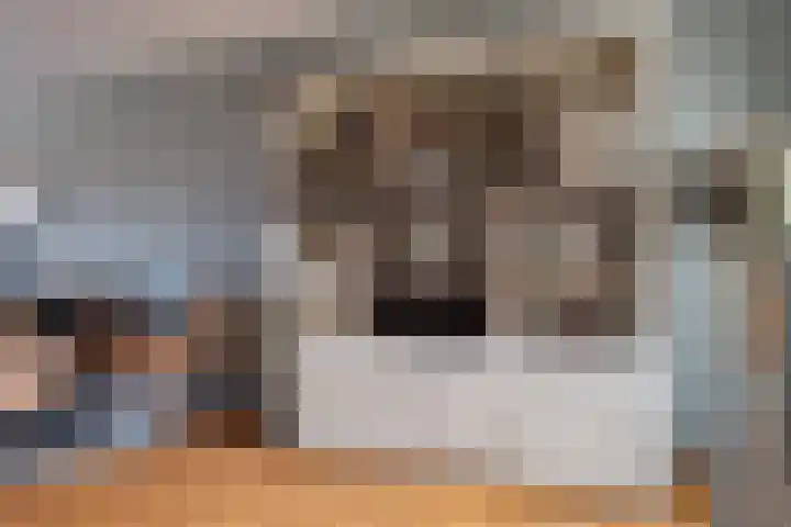 Stuifzandlaan 8 Zandpol thumbnail 17