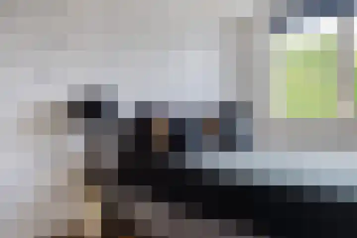 Stuifzandlaan 8 Zandpol thumbnail 37