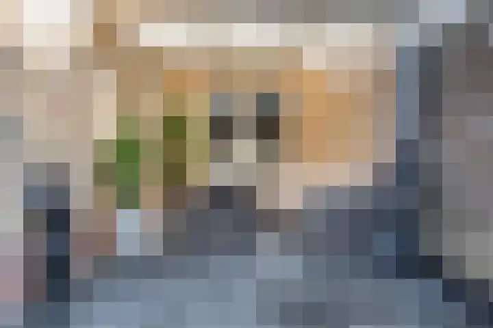 Stuifzandlaan 8 Zandpol thumbnail 57