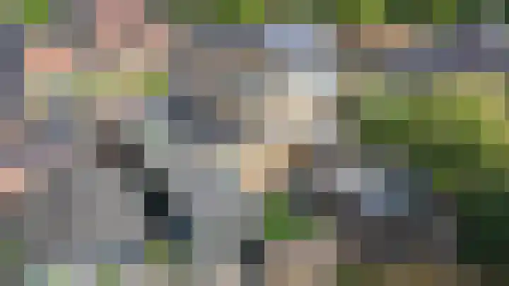 Stuifzandlaan 8 Zandpol thumbnail 59