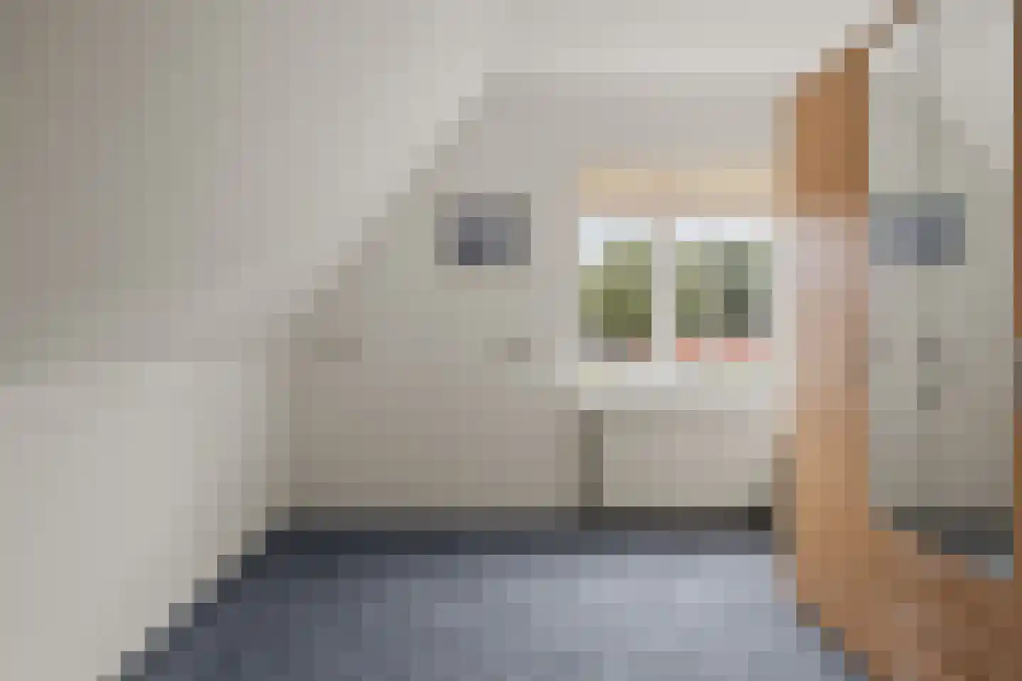 Stuifzandlaan 9 Zandpol thumbnail 22