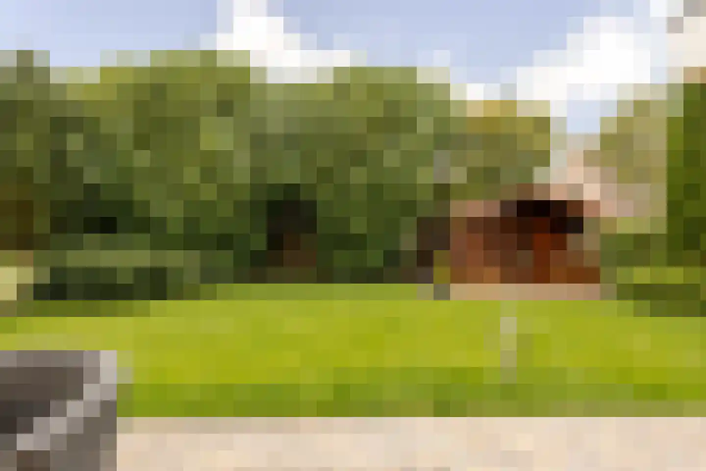 Stuifzandlaan 9 Zandpol thumbnail 29