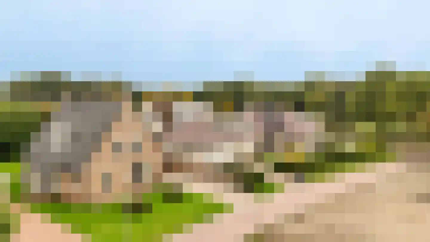 Stuifzandlaan 9 Zandpol foto 3
