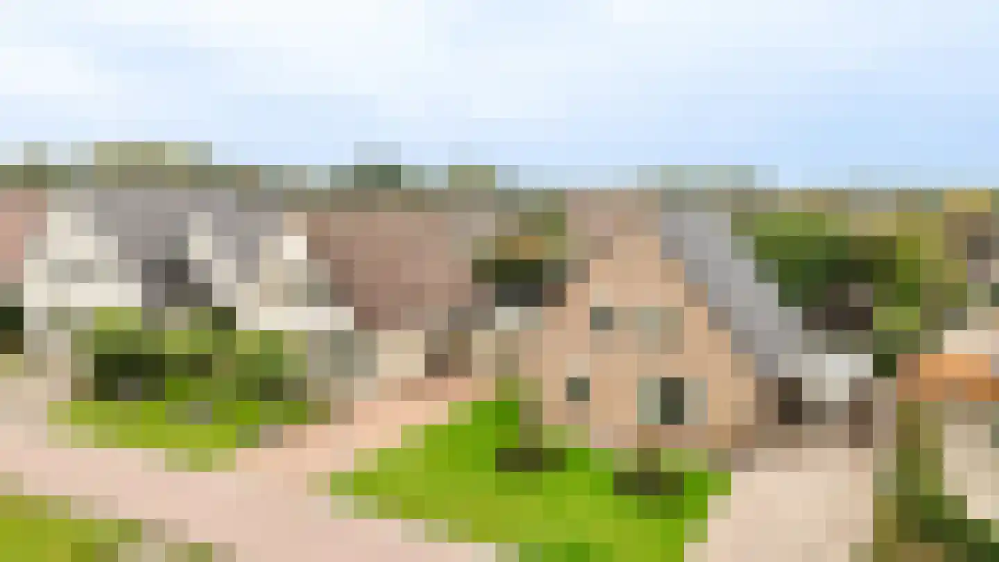 Stuifzandlaan 9 Zandpol thumbnail 31