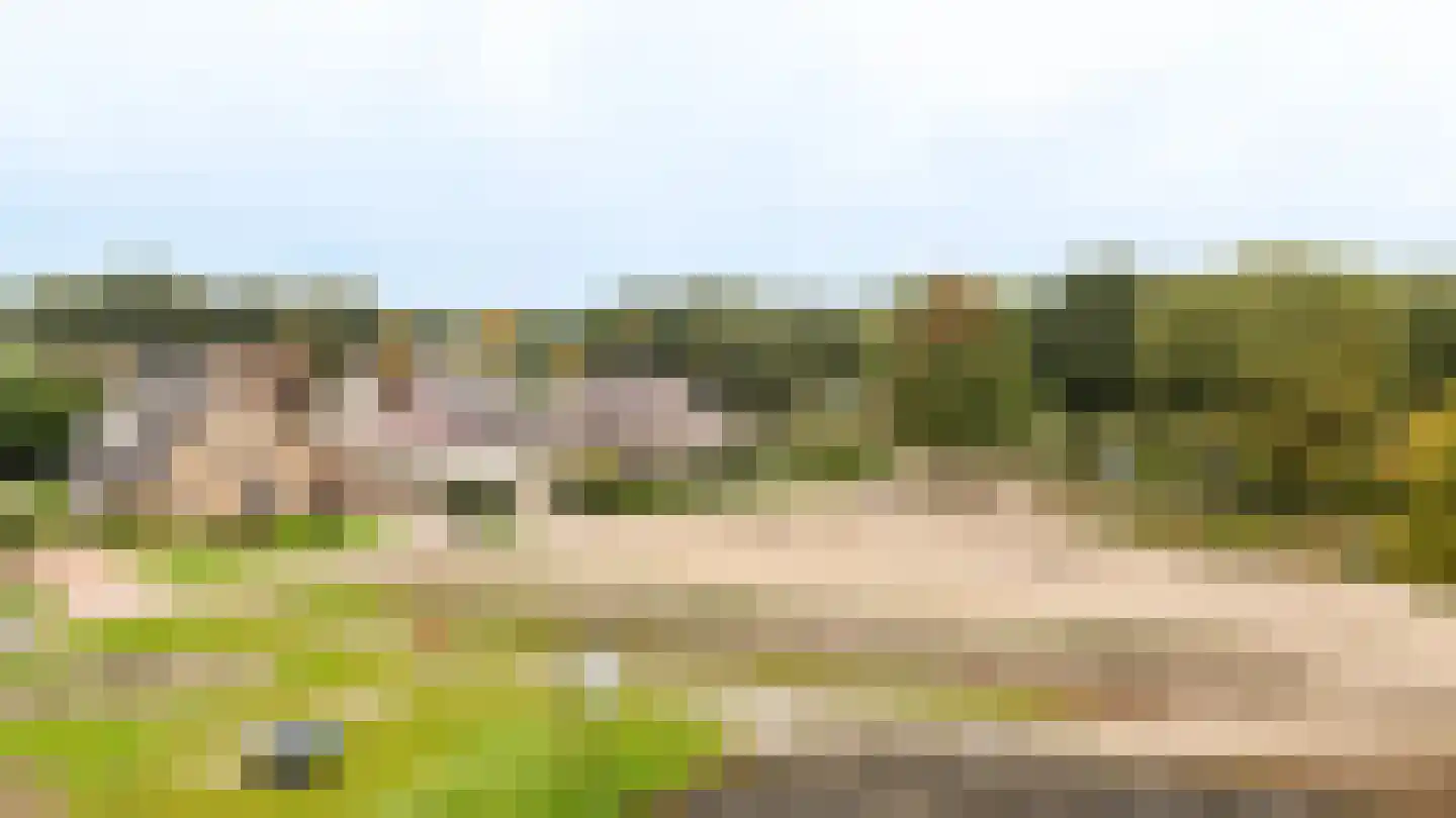 Stuifzandlaan 9 Zandpol thumbnail 32
