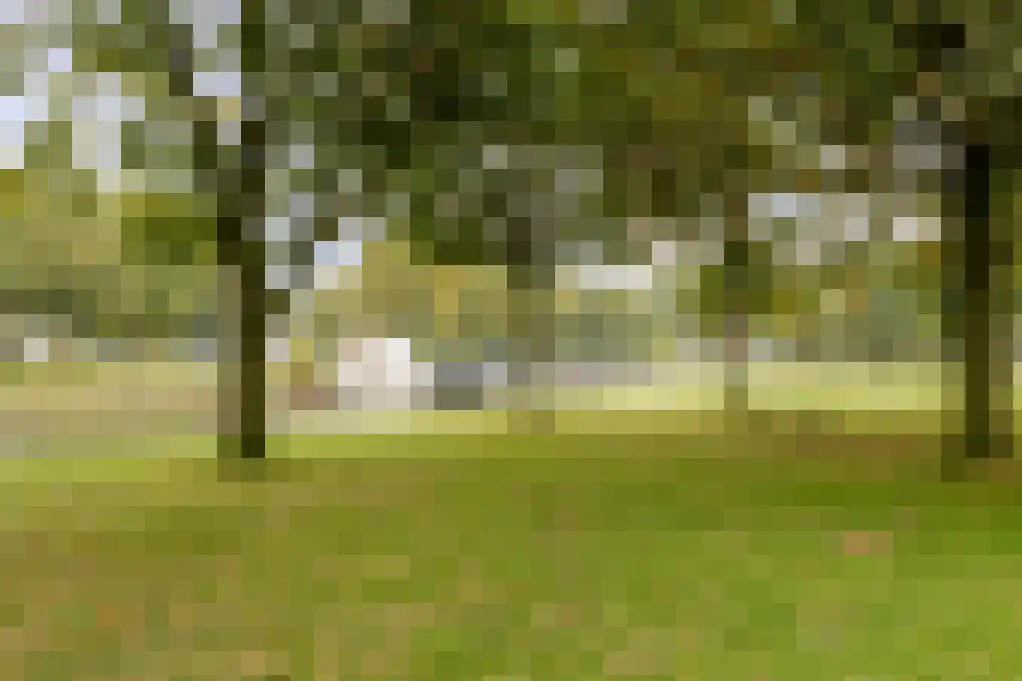 Stuifzandlaan 9 Zandpol thumbnail 36