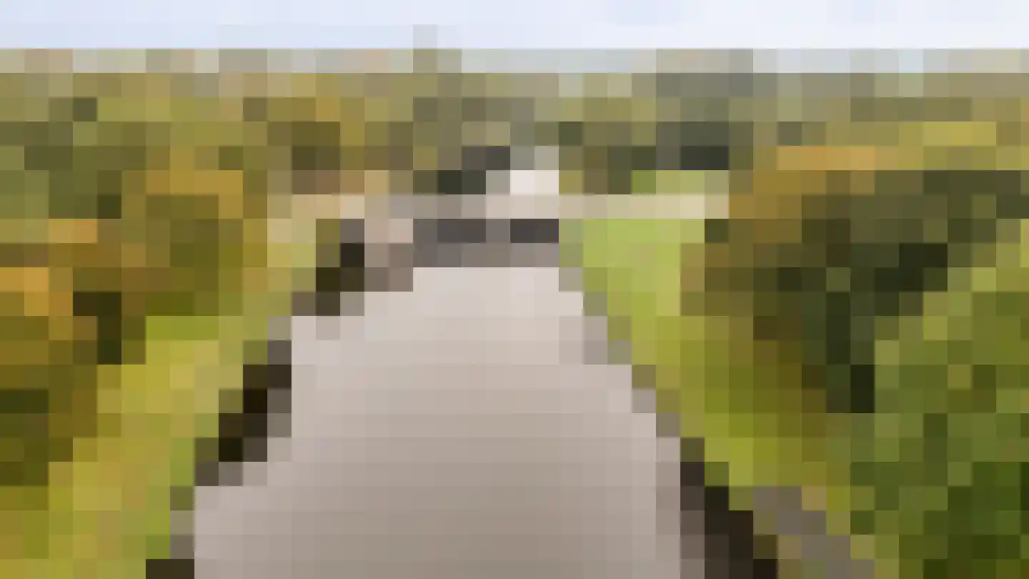 Stuifzandlaan 9 Zandpol thumbnail 37