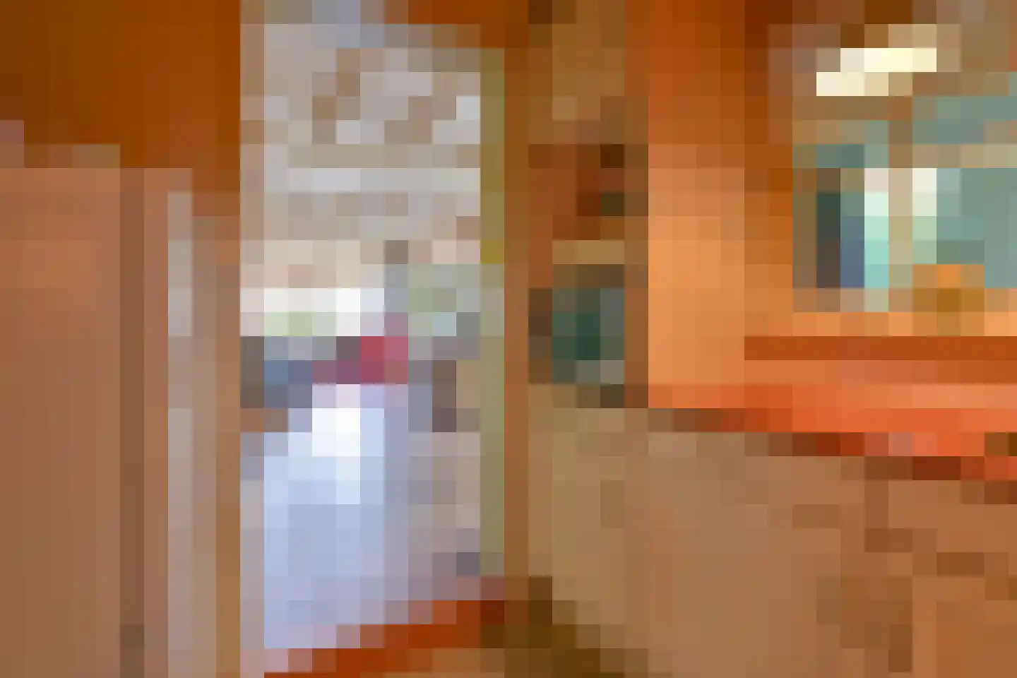 Stuifzandseweg 16 Hoogeveen thumbnail 20