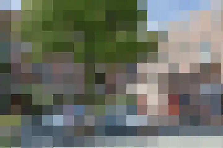 Stuifzwam 122 in Alphen aan den Rijn