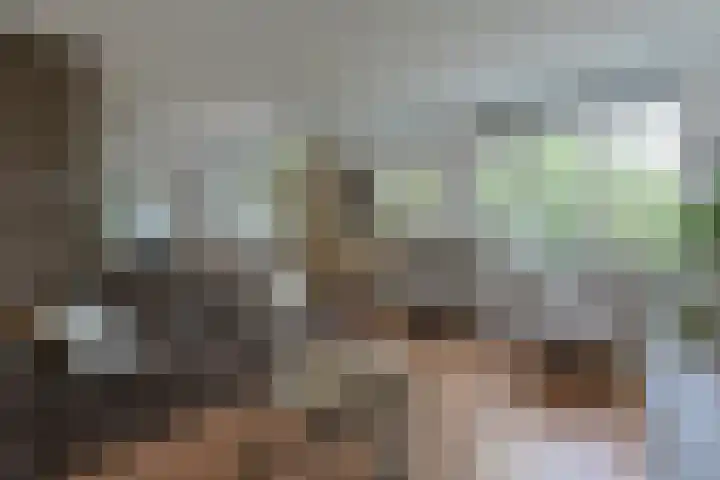 Stuifzwam 122 Alphen aan den Rijn thumbnail 11