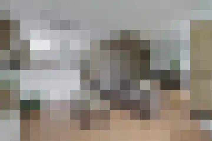 Stuifzwam 122 Alphen aan den Rijn thumbnail 12