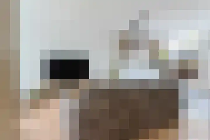 Stuifzwam 122 Alphen aan den Rijn thumbnail 14