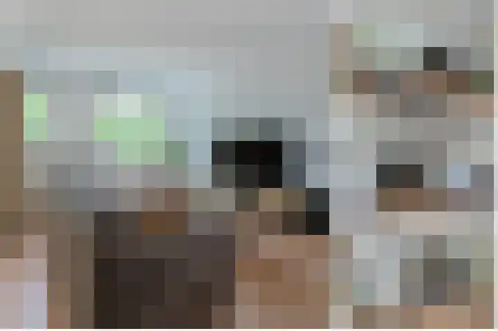 Stuifzwam 122 Alphen aan den Rijn thumbnail 15
