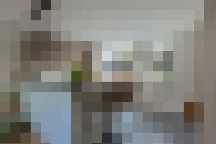 Stuifzwam 122 Alphen aan den Rijn thumbnail 16