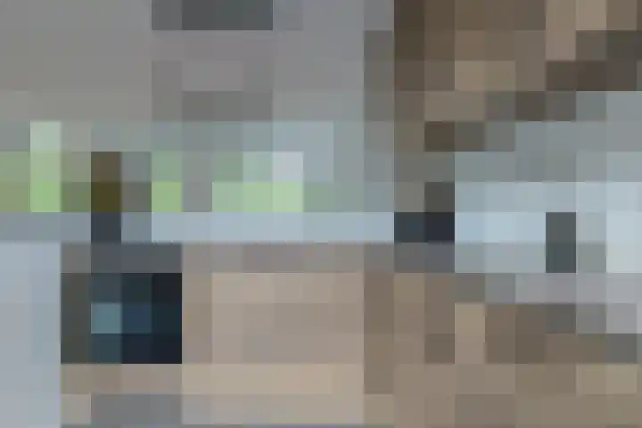 Stuifzwam 122 Alphen aan den Rijn thumbnail 19