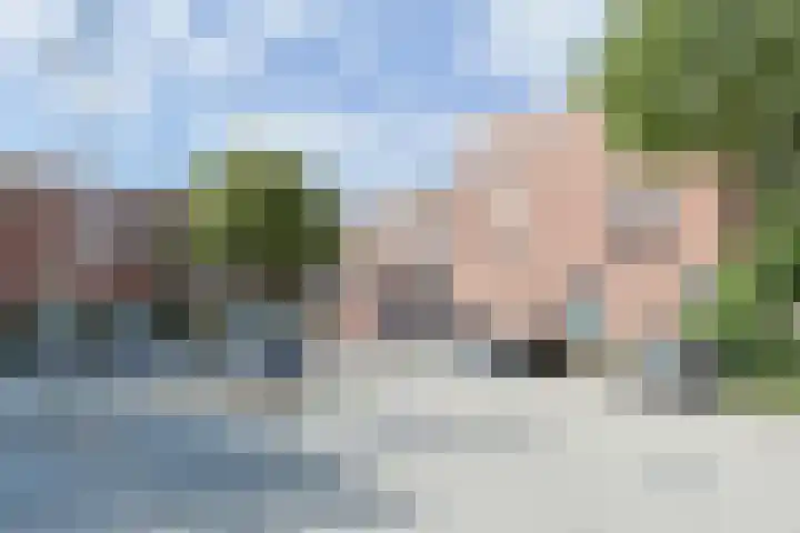 Stuifzwam 122 Alphen aan den Rijn foto 2