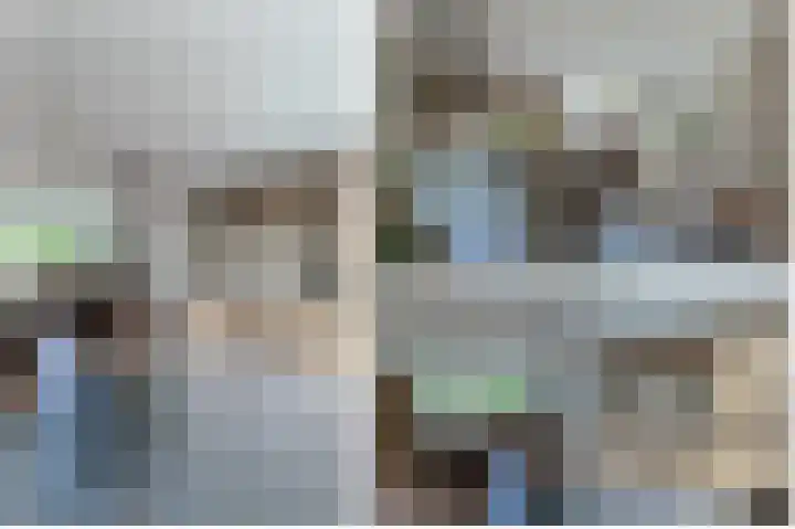 Stuifzwam 122 Alphen aan den Rijn thumbnail 20