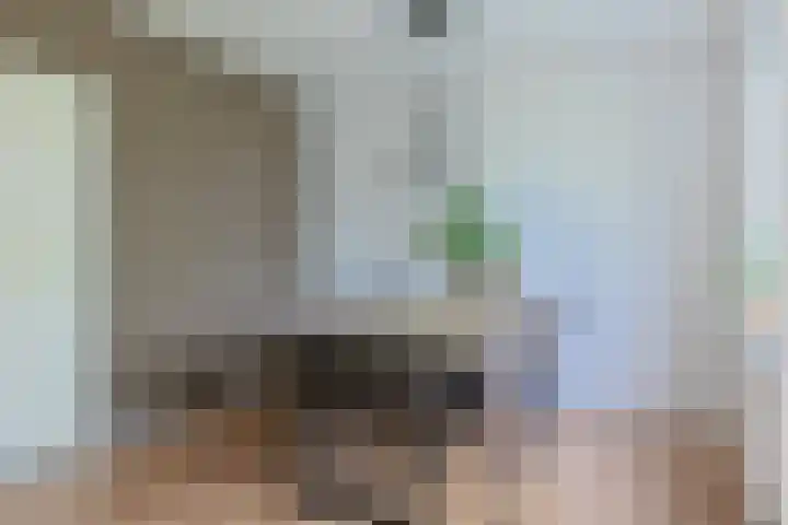Stuifzwam 122 Alphen aan den Rijn thumbnail 21