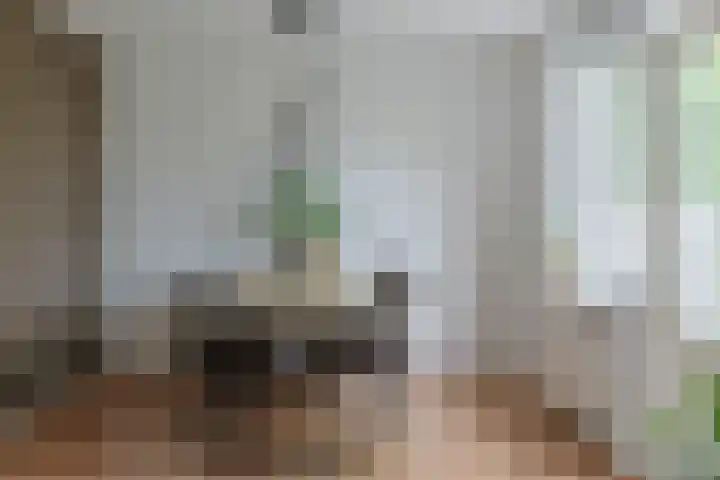 Stuifzwam 122 Alphen aan den Rijn thumbnail 22