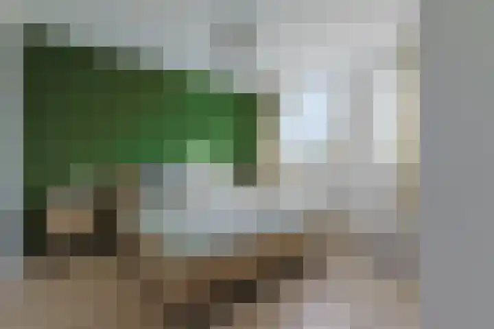 Stuifzwam 122 Alphen aan den Rijn thumbnail 25