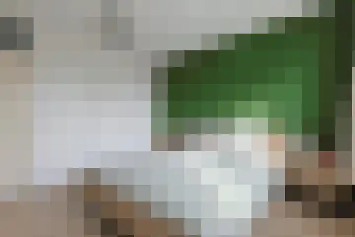 Stuifzwam 122 Alphen aan den Rijn thumbnail 26