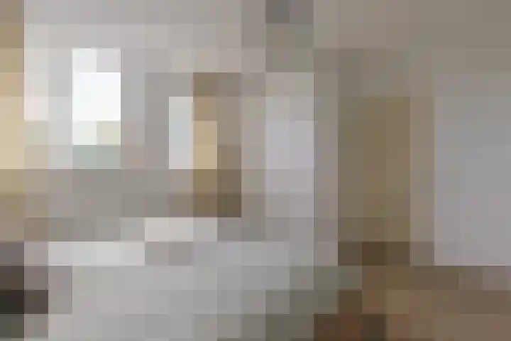 Stuifzwam 122 Alphen aan den Rijn thumbnail 27
