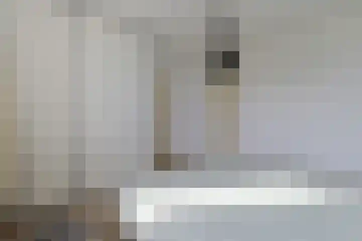 Stuifzwam 122 Alphen aan den Rijn thumbnail 28