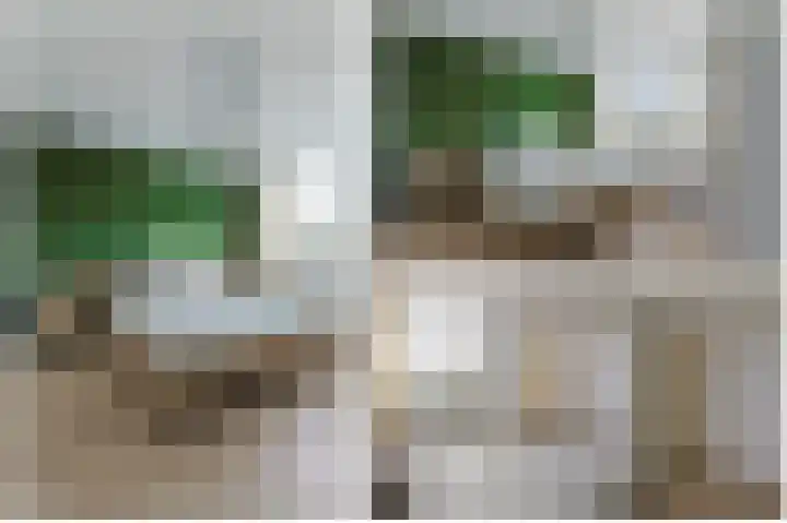 Stuifzwam 122 Alphen aan den Rijn thumbnail 29