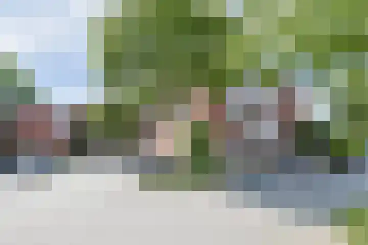 Stuifzwam 122 Alphen aan den Rijn foto 3