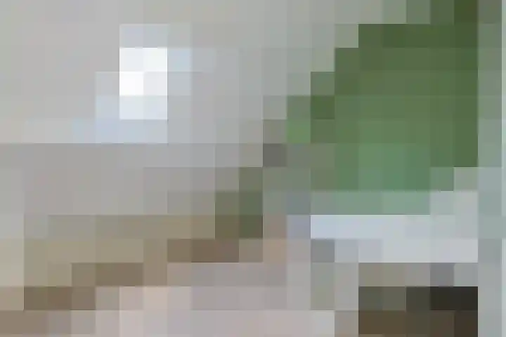 Stuifzwam 122 Alphen aan den Rijn thumbnail 30
