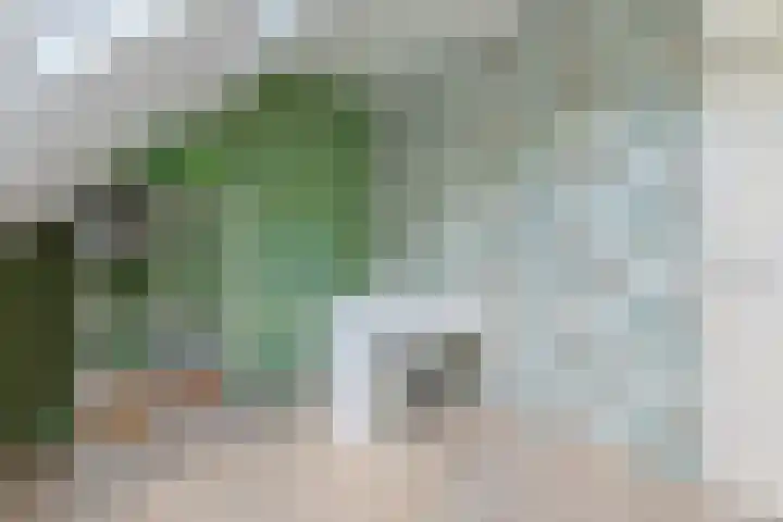 Stuifzwam 122 Alphen aan den Rijn thumbnail 31