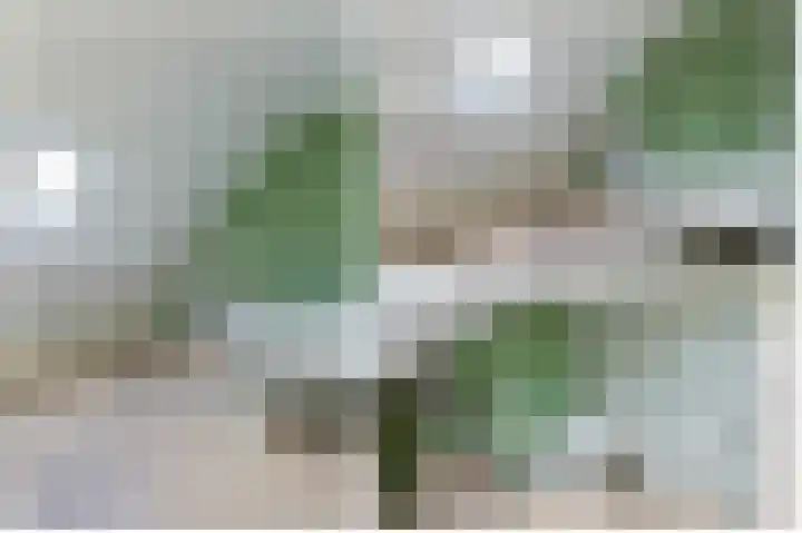 Stuifzwam 122 Alphen aan den Rijn thumbnail 32