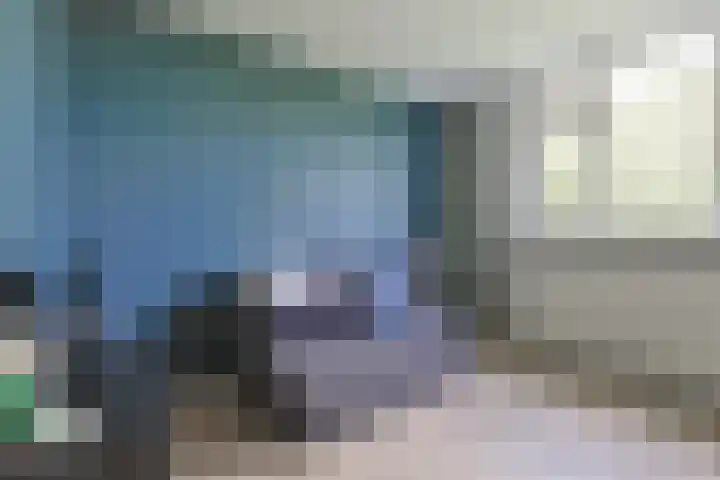 Stuifzwam 122 Alphen aan den Rijn thumbnail 33