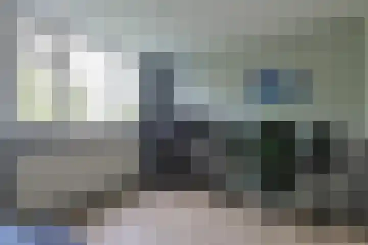Stuifzwam 122 Alphen aan den Rijn thumbnail 34