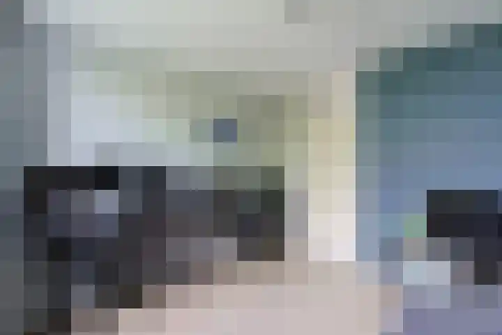 Stuifzwam 122 Alphen aan den Rijn thumbnail 35