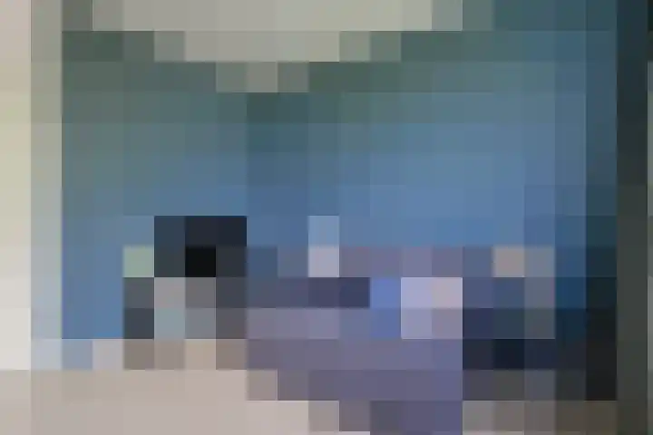Stuifzwam 122 Alphen aan den Rijn thumbnail 36
