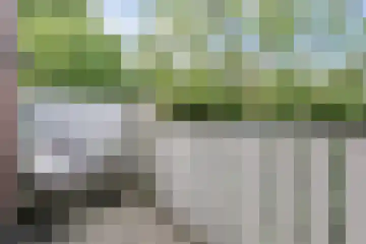 Stuifzwam 122 Alphen aan den Rijn thumbnail 39