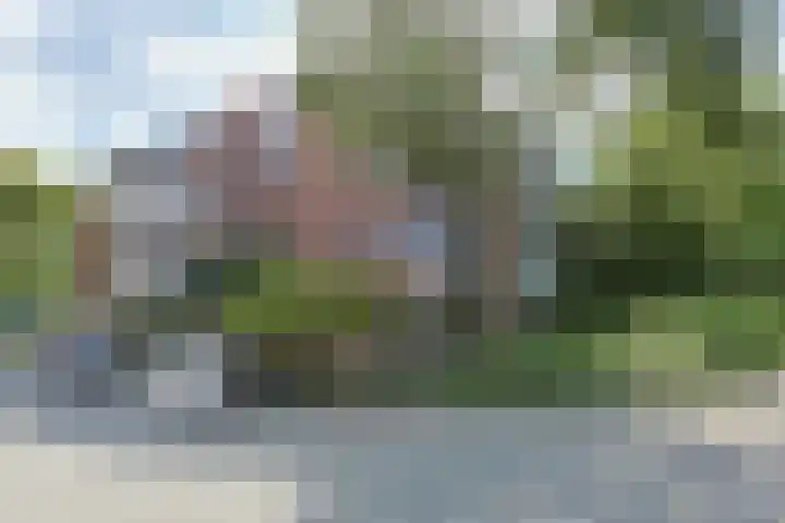 Stuifzwam 122 Alphen aan den Rijn thumbnail 4