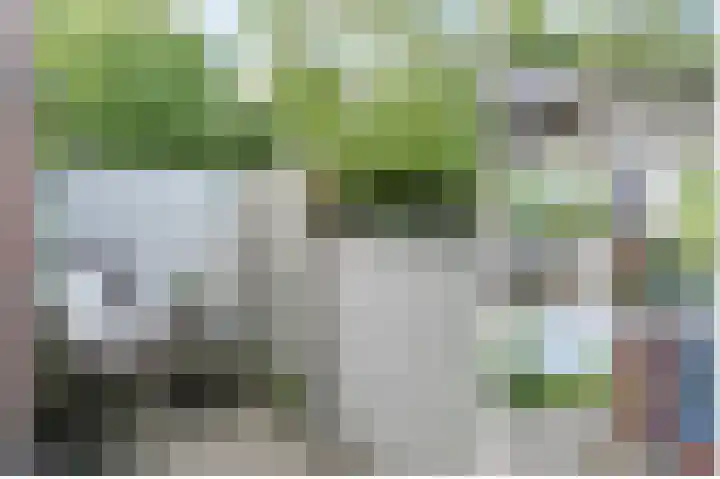Stuifzwam 122 Alphen aan den Rijn thumbnail 41