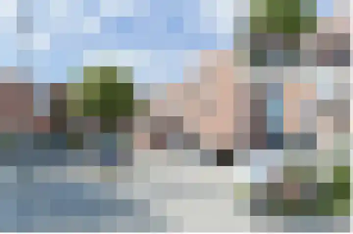 Stuifzwam 122 Alphen aan den Rijn thumbnail 6
