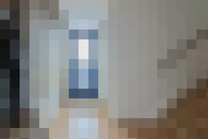 Stuifzwam 122 Alphen aan den Rijn thumbnail 7