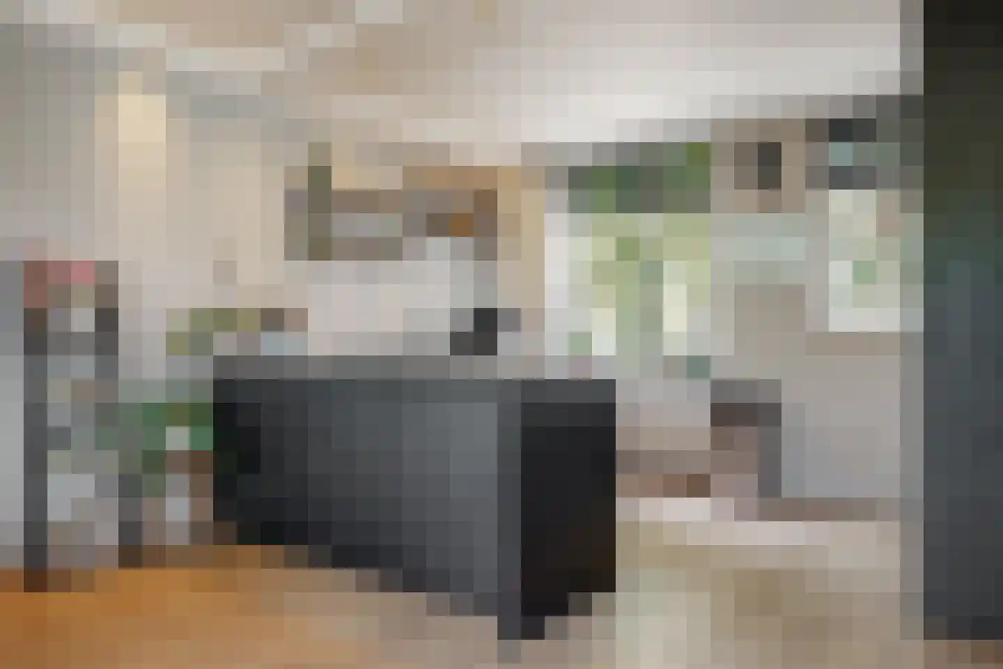 Stuifzwam 38 Alphen aan den Rijn thumbnail 11