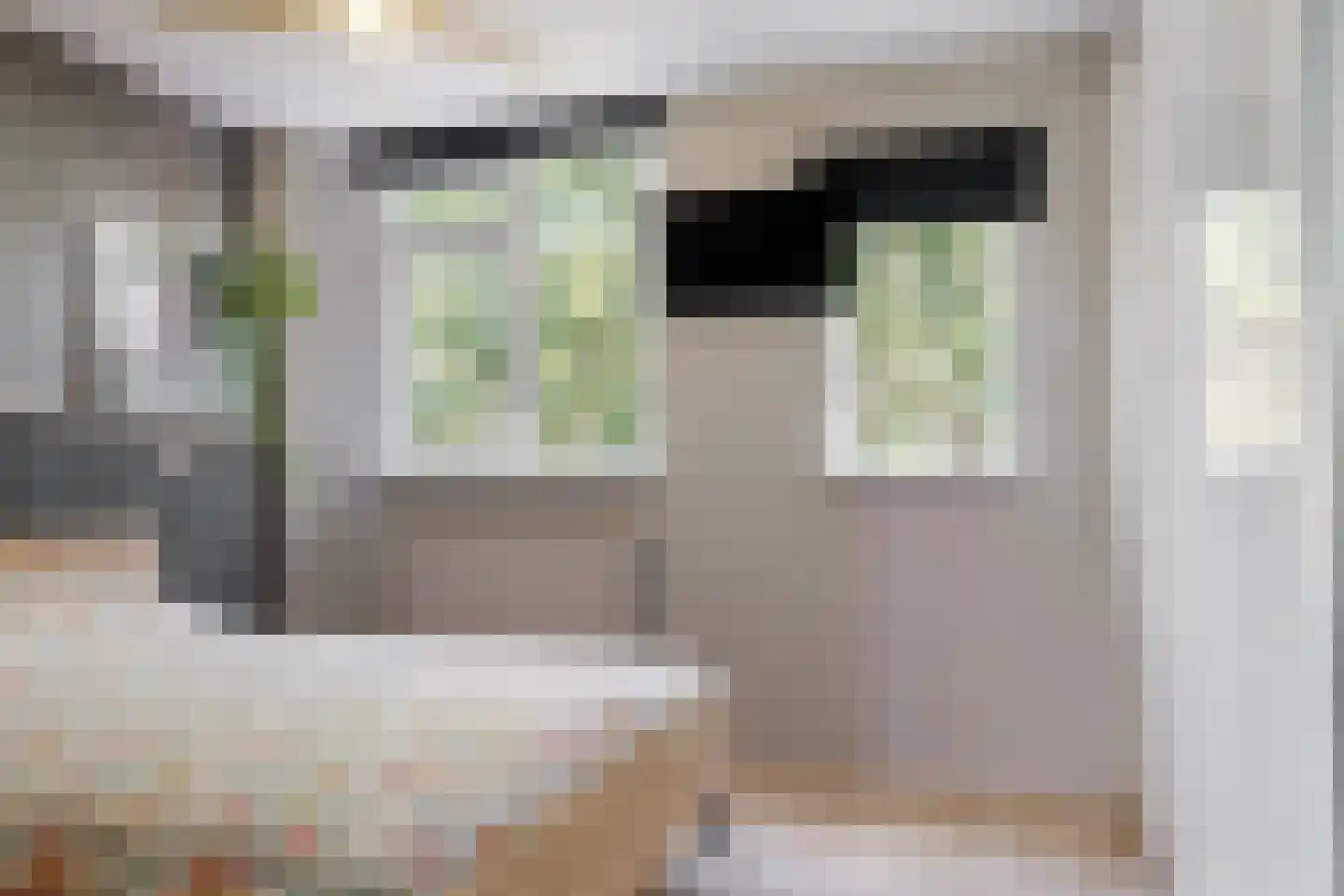 Stuifzwam 38 Alphen aan den Rijn thumbnail 13